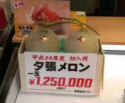 娱乐场所吃大瓜